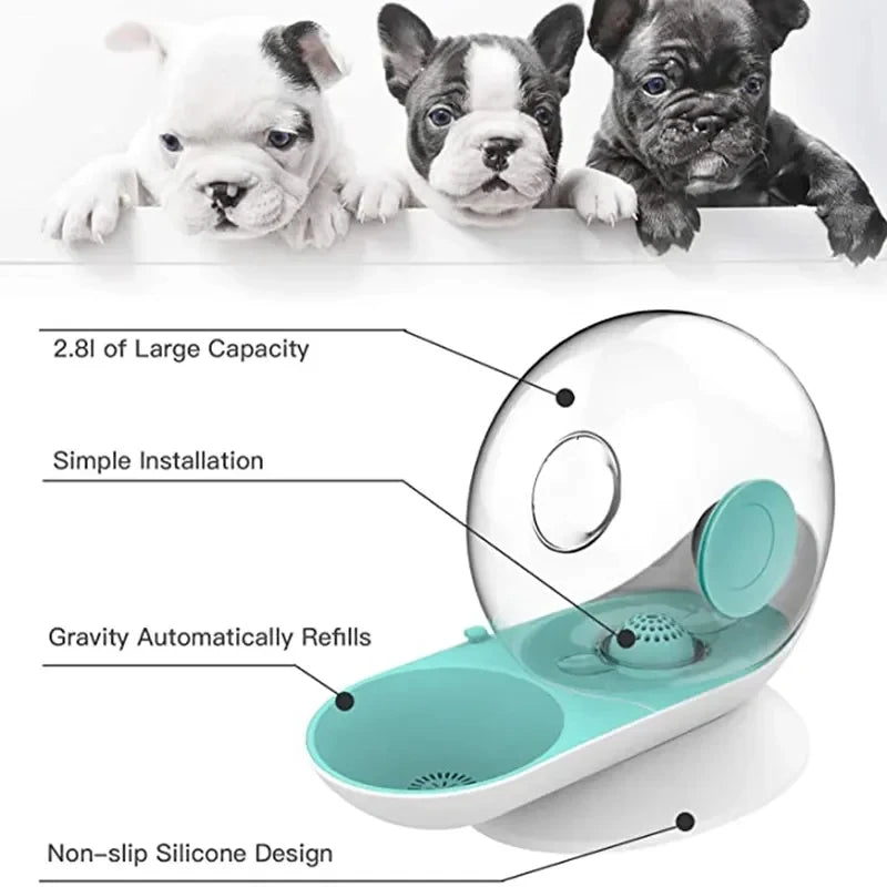 Pet Automatic Water Dispenser